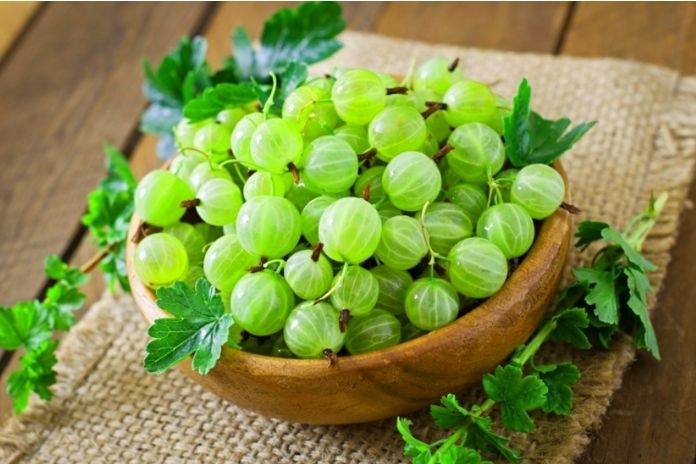 Five Reasons Why Gooseberries Are Healthy.