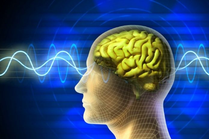 Health So Much Exercise Keeps The Brain Healthy