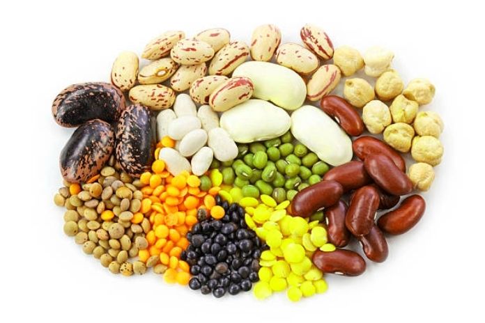 Legumes For Children