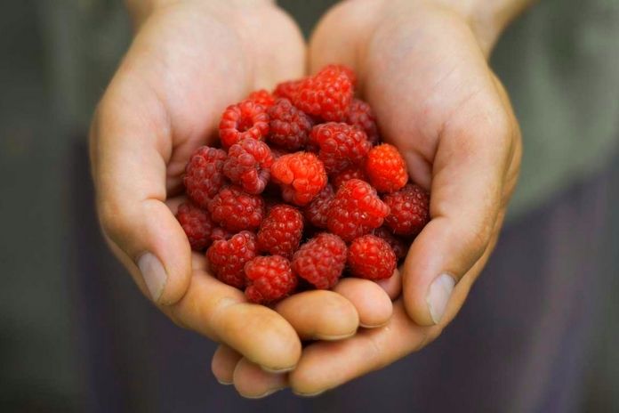 These 5 Foods Ensure A Healthy Gut