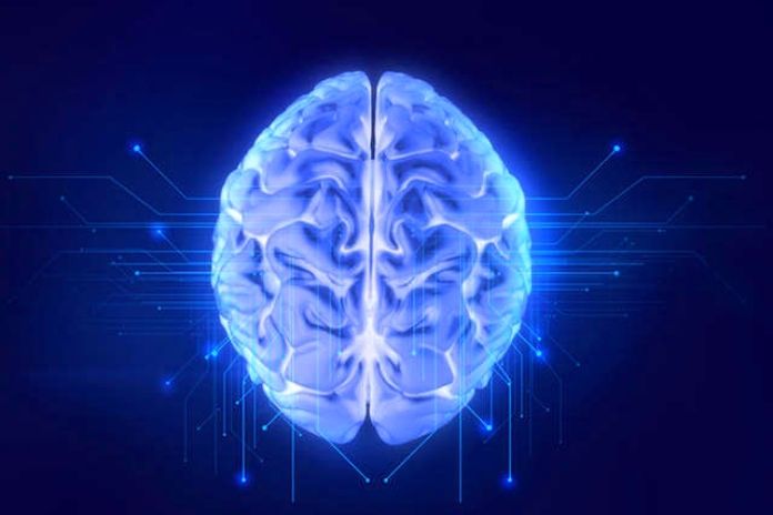 Five Foods That Are Bad For The Brain