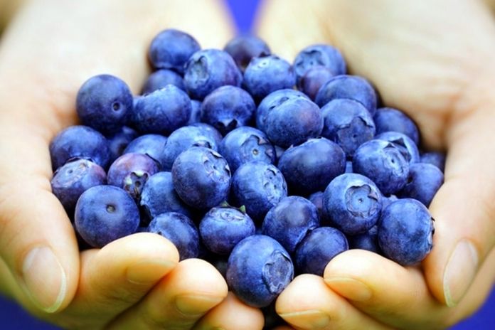 These 13 Foods Make You Fit, Slim And Beautiful