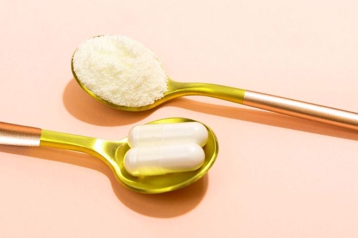 Collagen, An Essential Protein