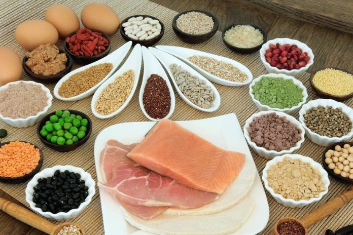 Protein Diet What Is It