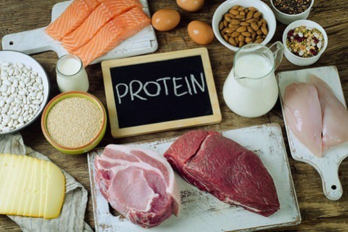 What Are The Main Functions Of Proteins