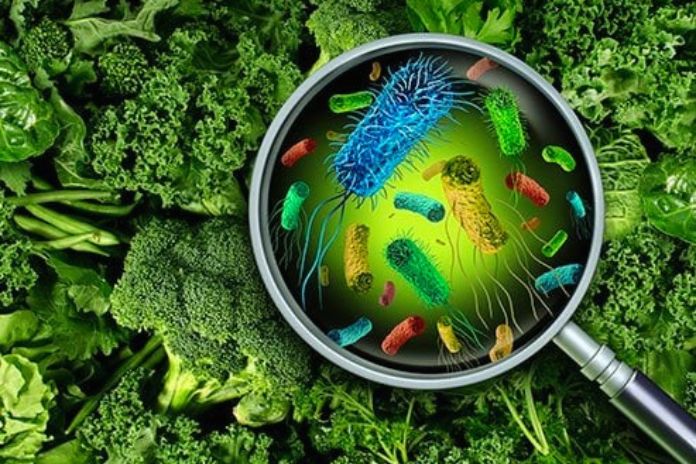 Food Listeriosis