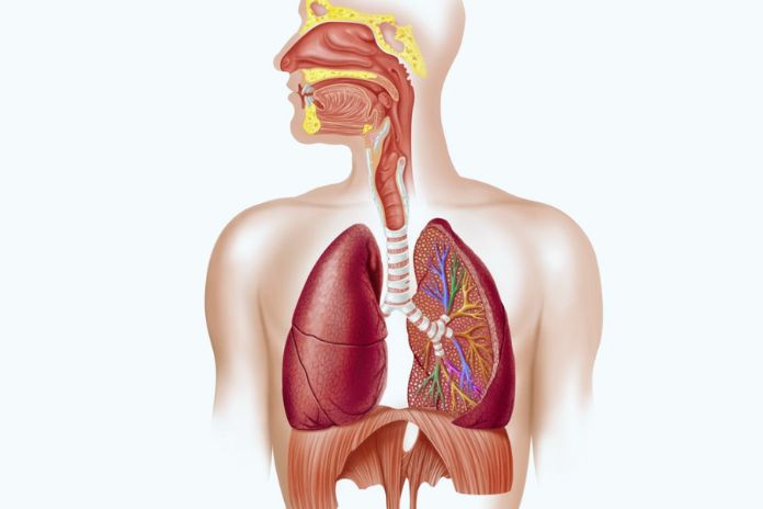 Seven Effective Measures For Circulatory Disorders