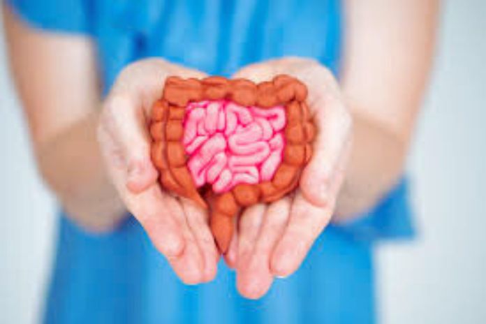 Gut Health Why Is It Important And How To Achieve It