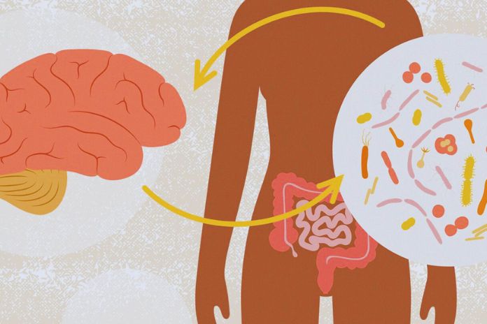 Mental Health & Intestinal Microbiota: Understand The Relationship