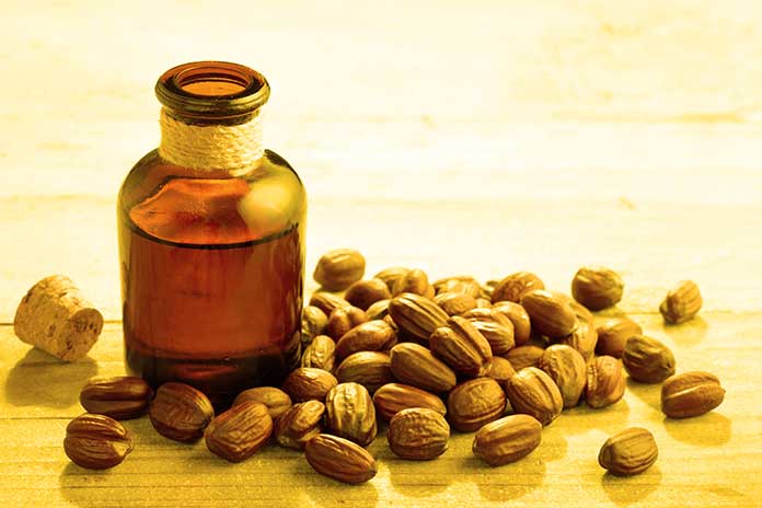 Jojoba Oil For Hair And Why To Use It